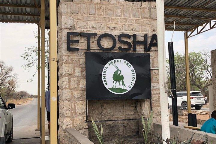 3 Days Etosha Safari Camping