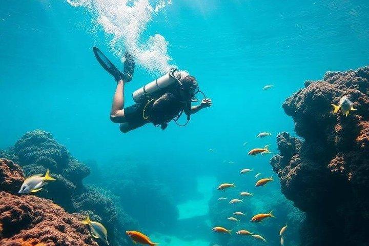 Coron Open Water Kurs 2 Dage 4 Dyk