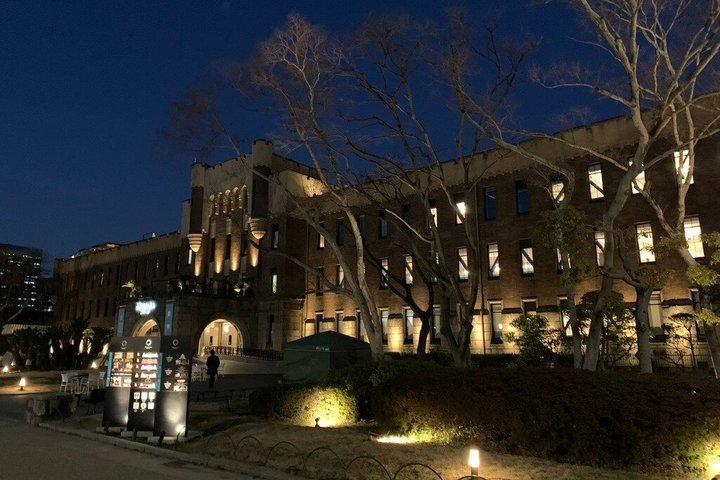 Osaka Castle Night Walk & Guided Tour