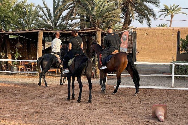 マラケシュでのプライベート夕日乗馬ツアー(送迎付き)