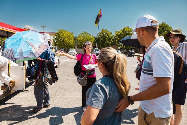 ミラノ発リモンチーノテイスティング日帰り旅行チンクエ・テッレ海公園