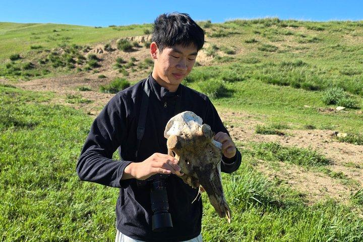 モンゴル・フスタイ国立公園へのプライベート日帰り旅行