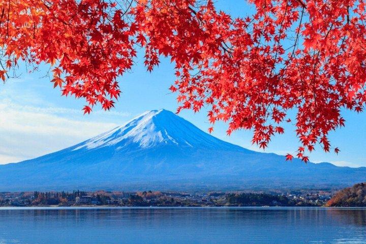 温泉付き富士山プライベートカスタムツアー（英語ガイド付き）