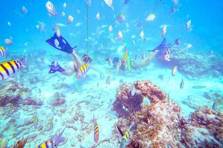 Private Catamaran Adventure in Punta Cana with Diving