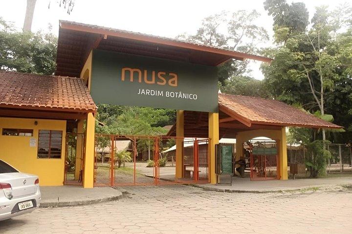 マナウスのアマゾン博物館（MUSA）ツアー：アマゾン体験