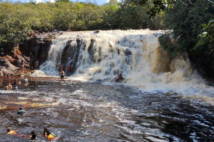マナウスのアマゾン博物館（MUSA）ツアー：アマゾン体験