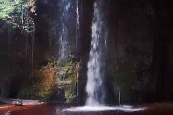 マナウスのアマゾン博物館（MUSA）ツアー：アマゾン体験
