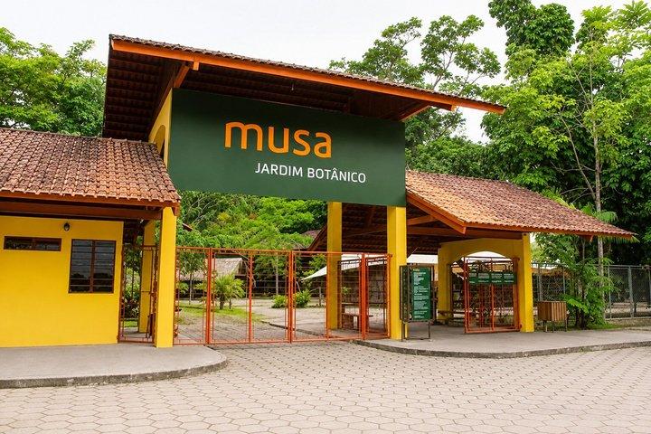 Rundtur på MUSA – Amazonasmuseum i Manaus: En Amazonasupplevelse
