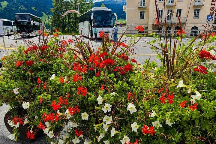チューリッヒ/ルツェルン発：グリンデルワルト、インターラーケン＆ラウターブルンネン旅行