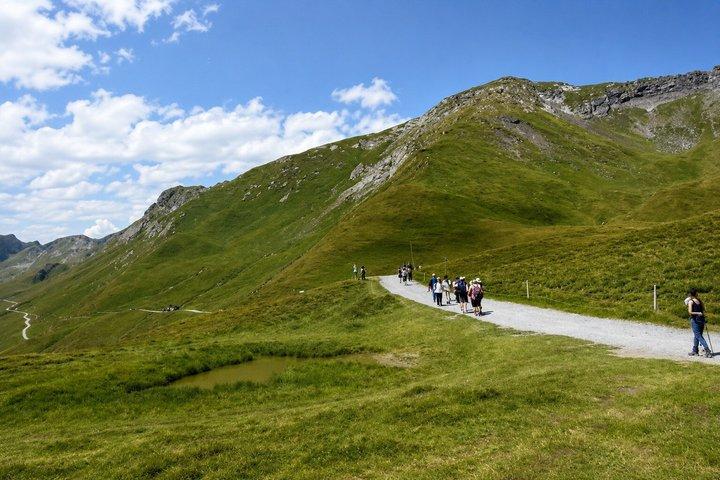 チューリッヒ/ルツェルン発：グリンデルワルト、インターラーケン＆ラウターブルンネン旅行