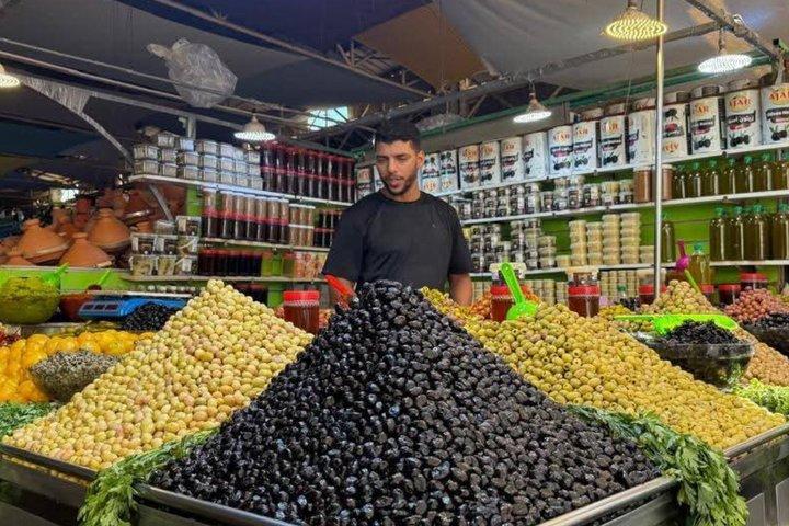 Taroudant Half Day Tour and Goat Tree Visit