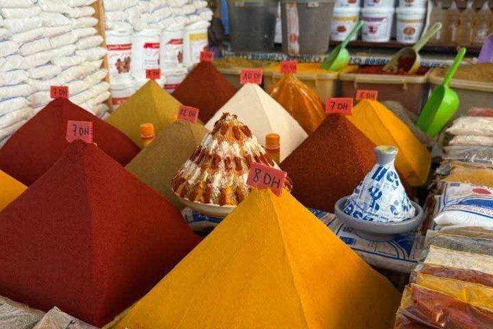 Taroudant Half Day Tour and Goat Tree Visit