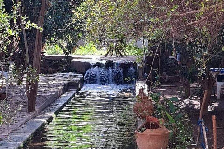 Taroudant Half Day Tour and Goat Tree Visit