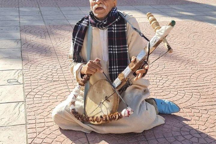 Taroudant Half Day Tour and Goat Tree Visit