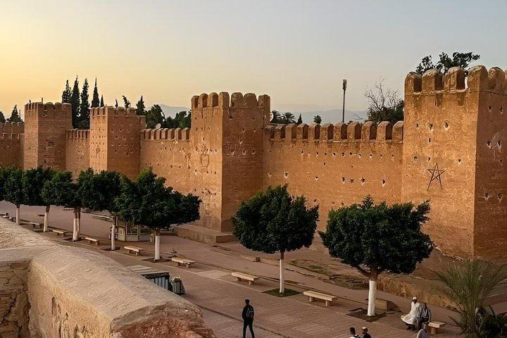 Taroudant Half Day Tour and Goat Tree Visit