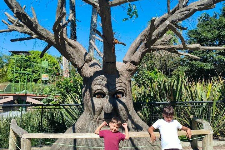 ブルメナウとポメロデ：バルネアーリオ・カンボリウからの日帰り旅行