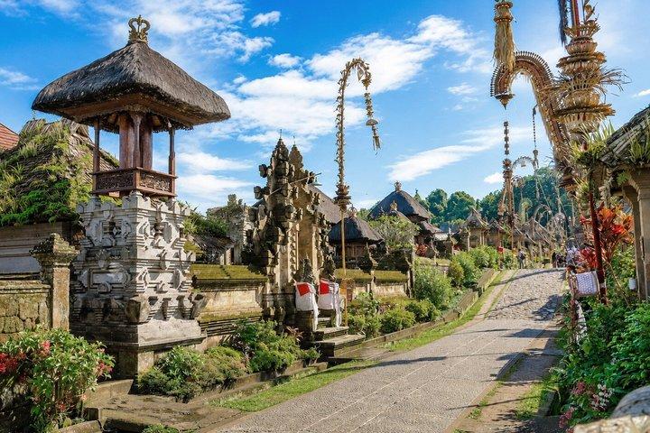 東バリ島ツアー:ベサキの母なる寺院