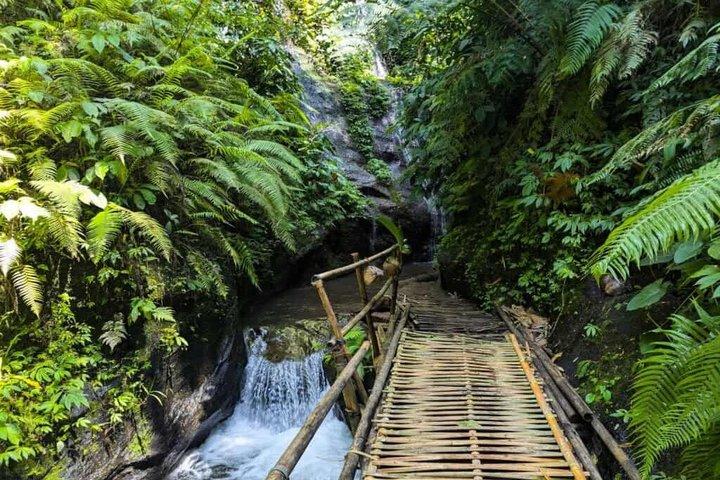 東バリ島ツアー：ベサキの母なる寺院