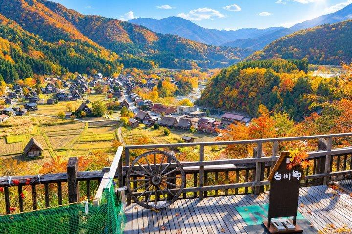 Shirakawago & Takayama Bus Tour fra Nagoya med valgfri frokost