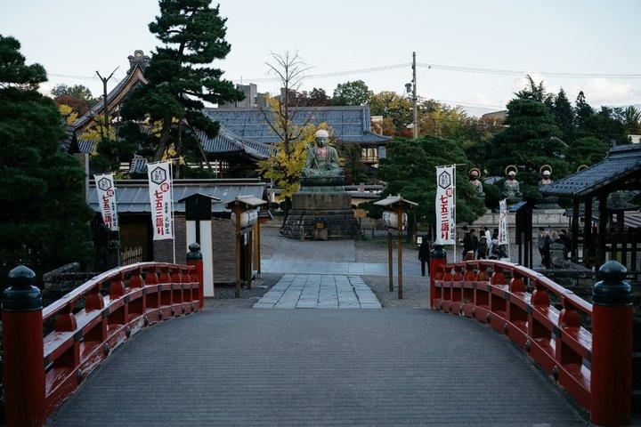 Nagano Snow Monkey Private Tour from Tokyo Personalize Experience