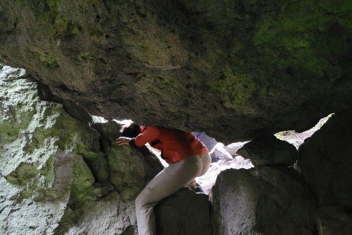 2 Days Sierra Norte Cloud Forest Adventure