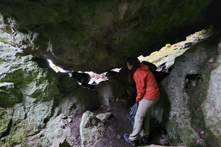 2 Days Sierra Norte Cloud Forest Adventure