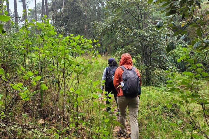 2 Days Sierra Norte Cloud Forest Adventure