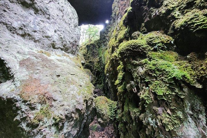 2 Days Sierra Norte Cloud Forest Adventure