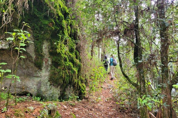 2 Days Sierra Norte Cloud Forest Adventure