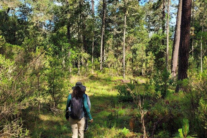 2 Days Sierra Norte Cloud Forest Adventure