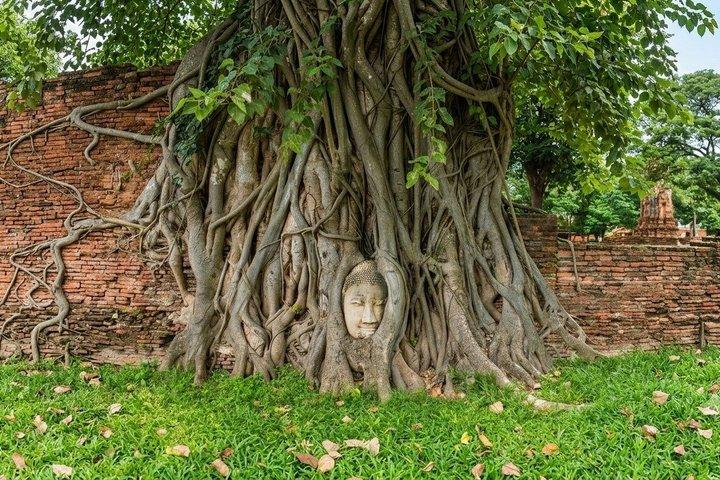 Small Group Ayutthaya UNESCO Temples Full-Day Tour by Alphard