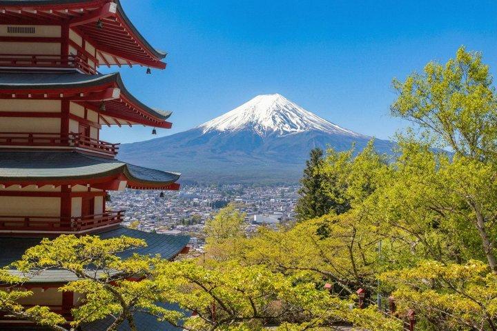 東京発ホテル送迎付き富士山スモールグループ日帰りツアー