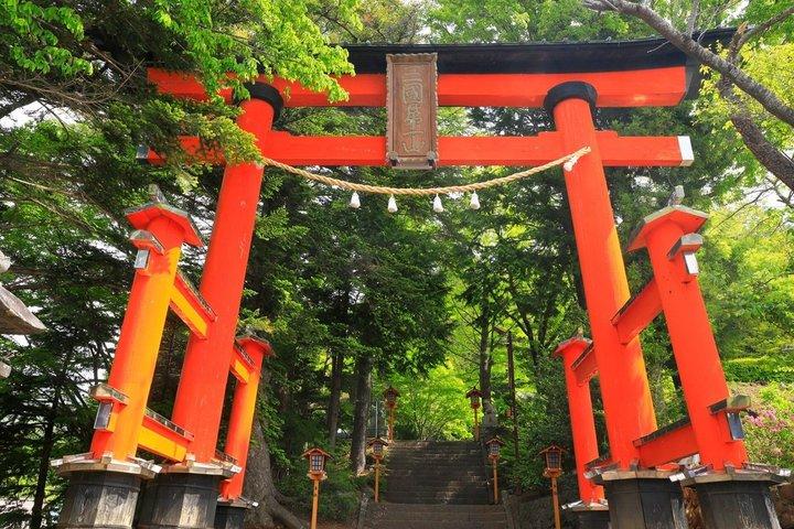 東京発ホテル送迎付き富士山スモールグループ日帰りツアー