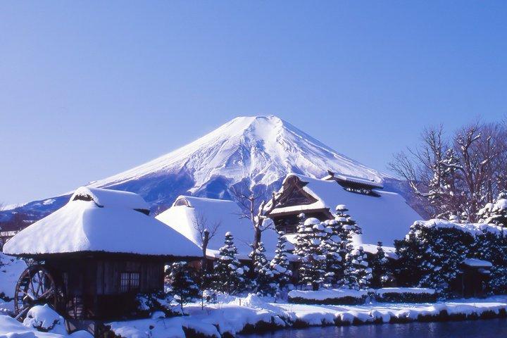 東京発ホテル送迎付き富士山スモールグループ日帰りツアー