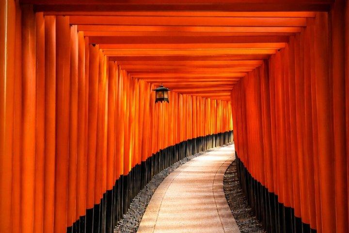 京都・奈良1 - 大阪・京都からの日帰りバスツアー