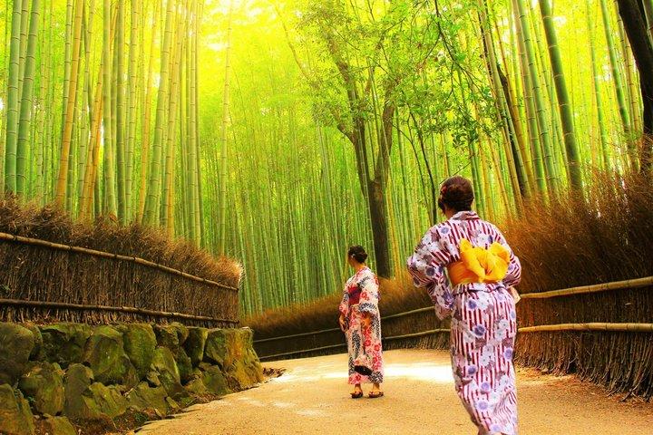 京都・奈良1 - 大阪・京都からの日帰りバスツアー