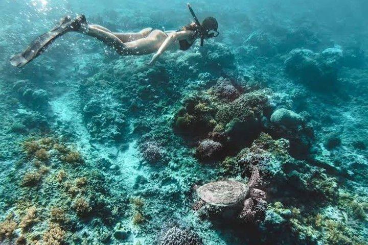 プライベートのギリ・エア、メノ、トラワンガンでのウミガメスポットでのシュノーケリング