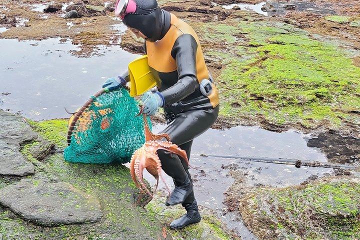 済州島でのプライベートツアー：ダイバーパフォーマンスと万丈窟