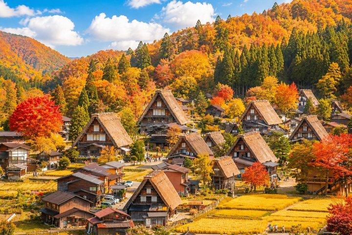 Shirakawago & Takayama Bus Tour fra Nagoya med valgfri frokost