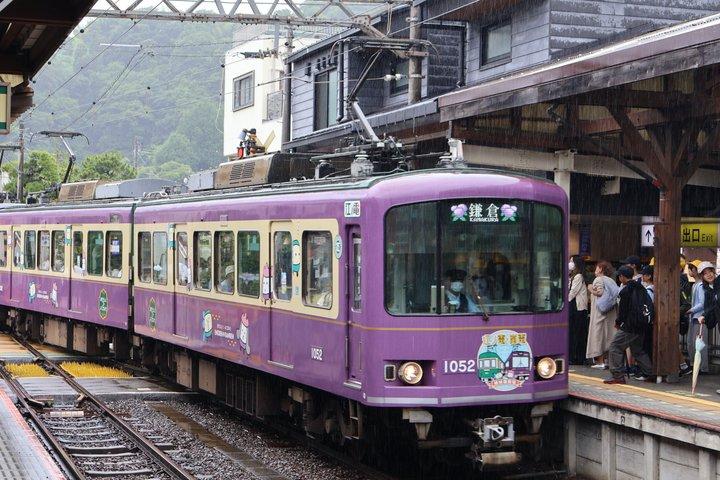 鎌倉e-バイクツアー 大仏、海辺、隠れた神社