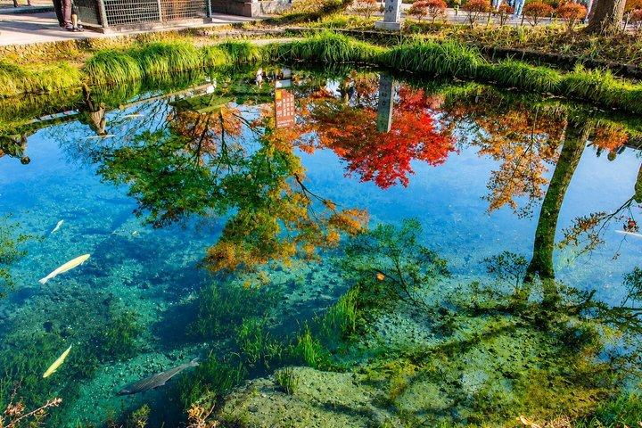 東京から富士山、新倉山、大石公園、河口湖