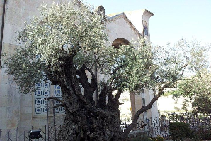 Private Jerusalem and Bethlehem Day Tour with Licensed Guide
