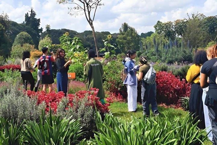 ナイロビからのガトニ茶畑＆感覚庭園ツアー