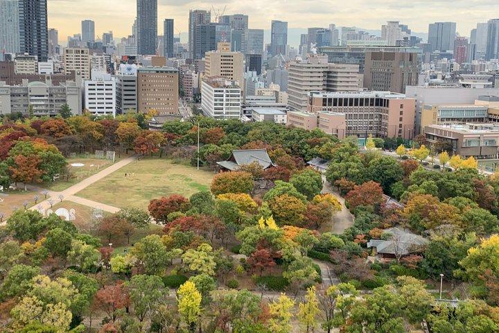 Osaka Private Walking Tour with French Speaking Guide
