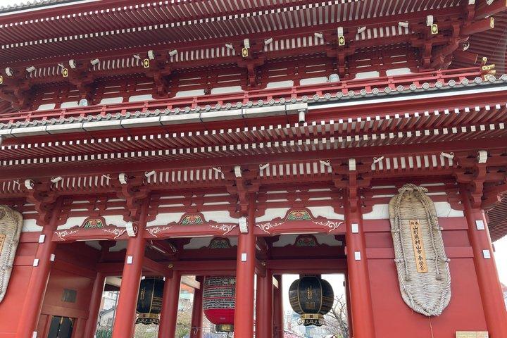 フランス語を話すガイド付きの東京プライベートシティツアー