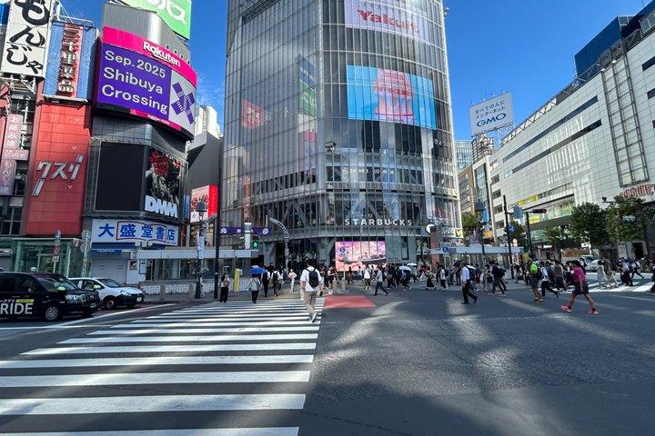 フランス語を話すガイド付きの東京プライベートシティツアー