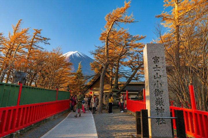東京 : 富士山、忍野八海、御殿場アウトレット1 日帰りバスツアー