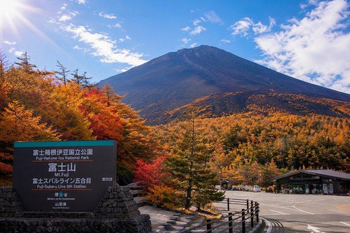 東京 : 富士山、忍野八海、御殿場アウトレット1 日帰りバスツアー