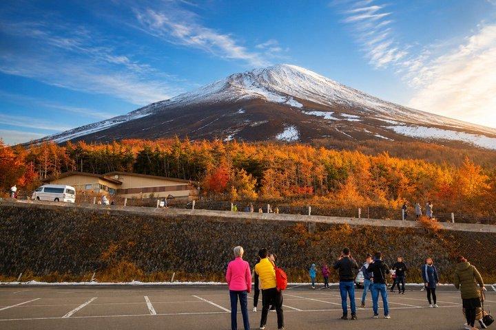 東京 : 富士山、忍野八海、御殿場アウトレット1 日帰りバスツアー