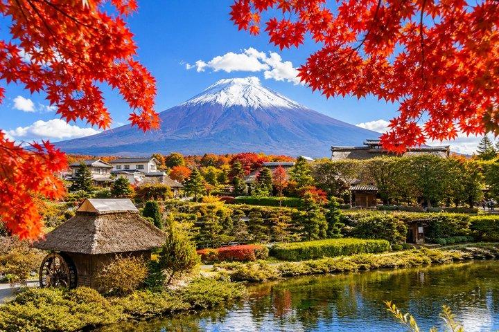 東京 : 富士山、忍野八海、御殿場アウトレット1 日帰りバスツアー